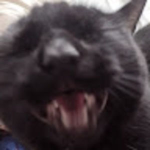 Meet your Posher, Michaela